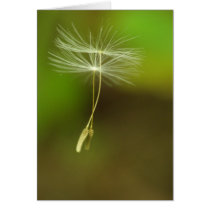 Flying seeds cards