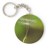 Flying seeds key chains