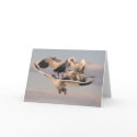 Flying Snow Geese Card