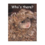Flying Squirrel Postcard