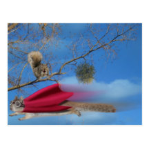 flying squirrel postcard