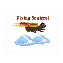 Flying Squirrel Postcards
