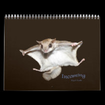 Flying Squirrels Calendar calendars