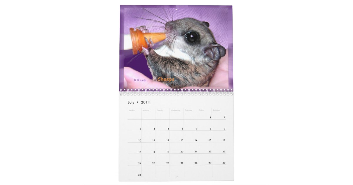 Flying Squirrels Calendar | Zazzle