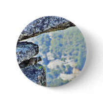 Flying Squirrels In Yosemite buttons