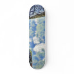 Flying Squirrels In Yosemite Skateboard Deck