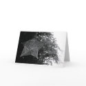 Flying Star cards by fabricatedphotos Flying Star cards