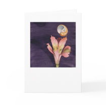 Flying Starry Nautica cards by briancody Flying Starry Nautica cards