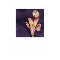 Flying Starry Nautica posters