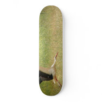 Flying stork skateboards