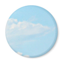 Flying Swallow magnets