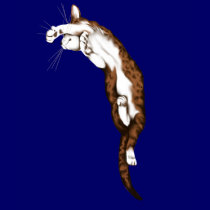 Flying Tabby T-Shirt by Lotacats Flying Tabby T-Shirt