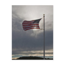 Flying the Flag Post Cards