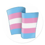 Flying Trans Pride Round Sticker