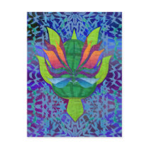 Flying Turtle Postcard