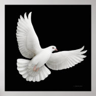 Flying White Dove Print print