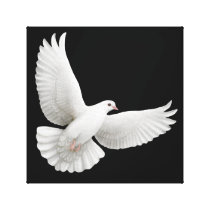 Flying White Dove Wrapped Canvas