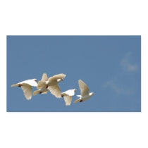 Flying white doves business cards