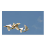 Flying white doves business cards
