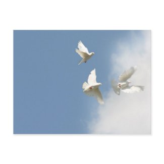 Flying white doves postcard