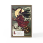 Flying Witch Greeting Cards