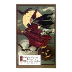Flying Witch print
