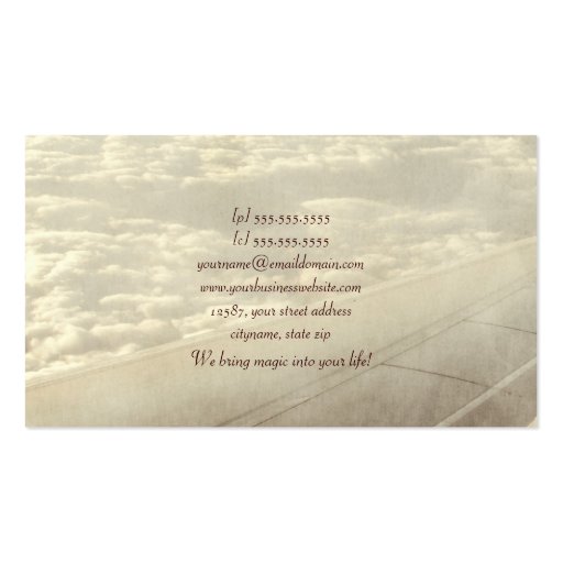 Flying with Dolphins Business Card Template (back side)