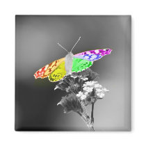 Flying With Pride magnets