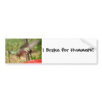 FM- Hummingbird Bumpersticker