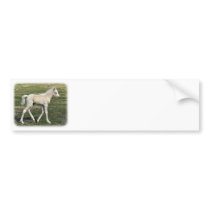 Foal 9P030D-190 bumper stickers