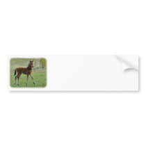 Foal 9P030D-197 bumper stickers