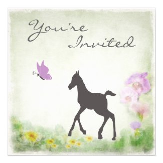 Foal and Butterfly Horse Baby Shower Invitation