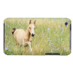 Foal and Flowers Case-Mate iPod Touch Case