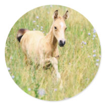 Foal and Flowers stickers