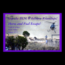 Foal and Horse Escape the BLM Roundup posters
