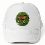 Foal Baseball Hat