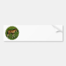 Foal Bumper Stickers