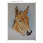 Foal Card