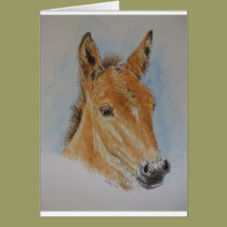 Foal Card