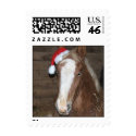 Foal Christmas Stamp stamp