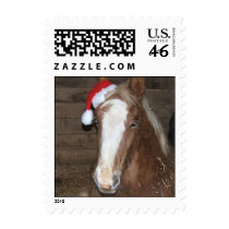 Foal Christmas Stamp