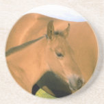 Foal Beverage Coaster