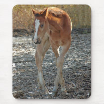 Foal dancing ballet mousepad