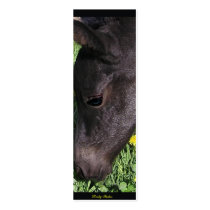 Foal Gift Tags Business Card Template