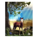 Foal Horse in Paradise posters