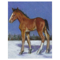 FOAL IN SNOW: EQUINE ART: COLOR PENCIL flyers by joyart FOAL IN SNOW: EQUINE ART: COLOR PENCIL flyers
