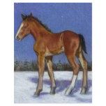 FOAL IN SNOW: EQUINE ART: COLOR PENCIL flyers