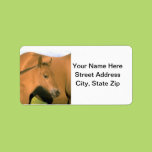 Foal Custom Address Labels