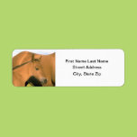 Foal Custom Return Address Labels