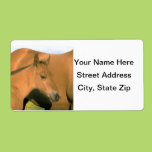 Foal Personalized Shipping Labels